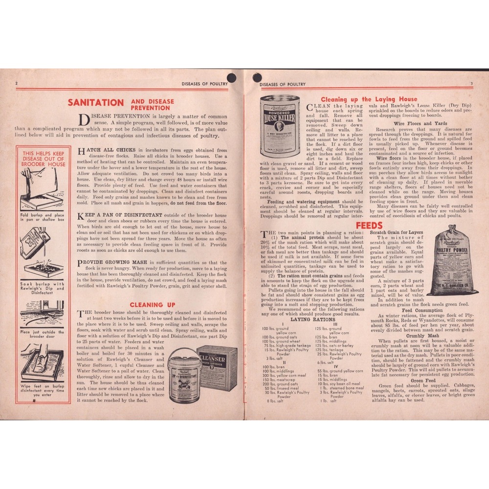 Vintage Diseases of Poultry Rawleigh Company Booklet Bulletin No 252 1943 - Picture 3 of 3